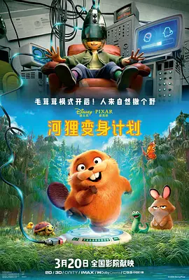 树屋轻调灵灵