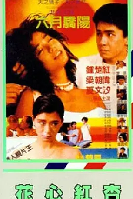 国产精品探花视频