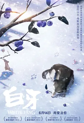 坠落的清纯校花小说