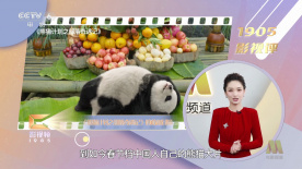 91精品欧美一区二区综合在线